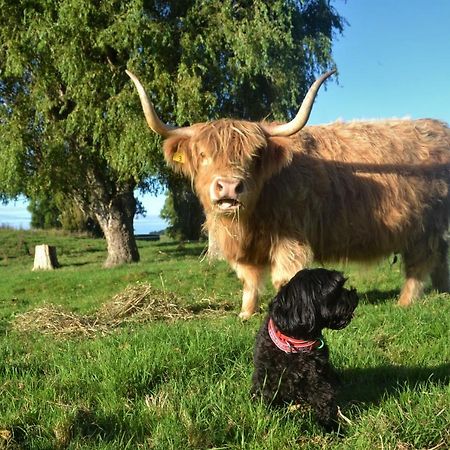Highlands On Homestead Oamaru Bagian luar foto