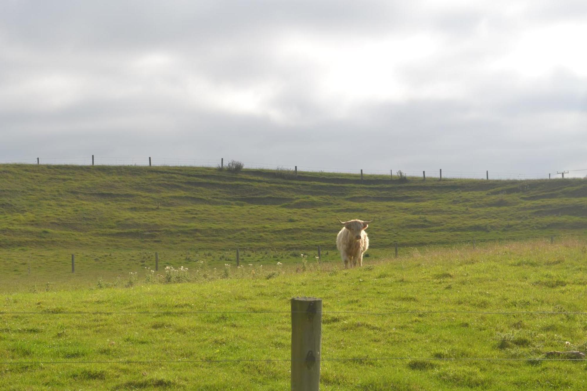 Highlands On Homestead Oamaru Bagian luar foto