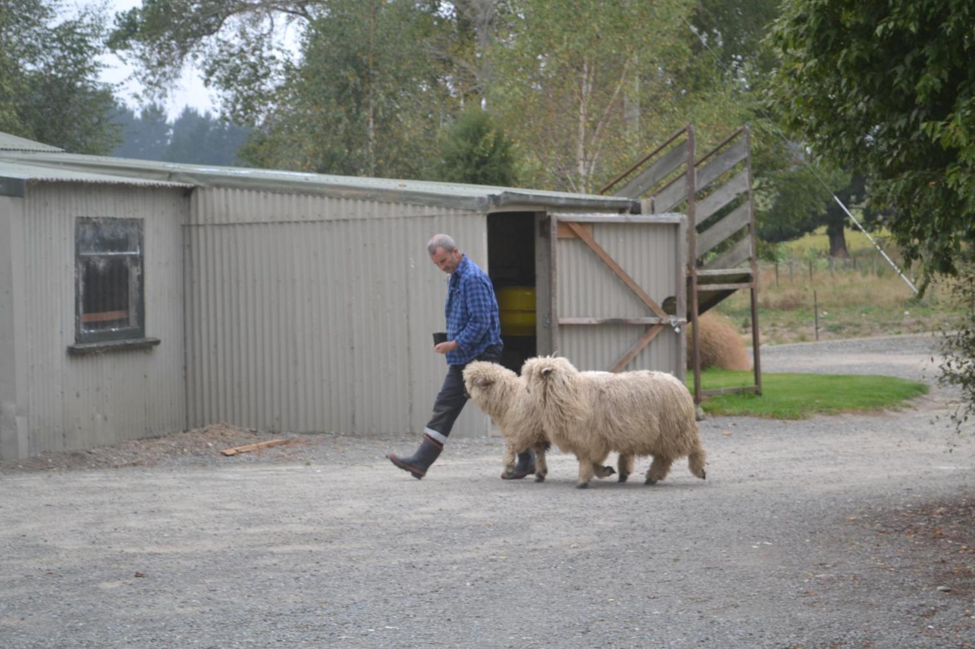 Highlands On Homestead Oamaru Bagian luar foto