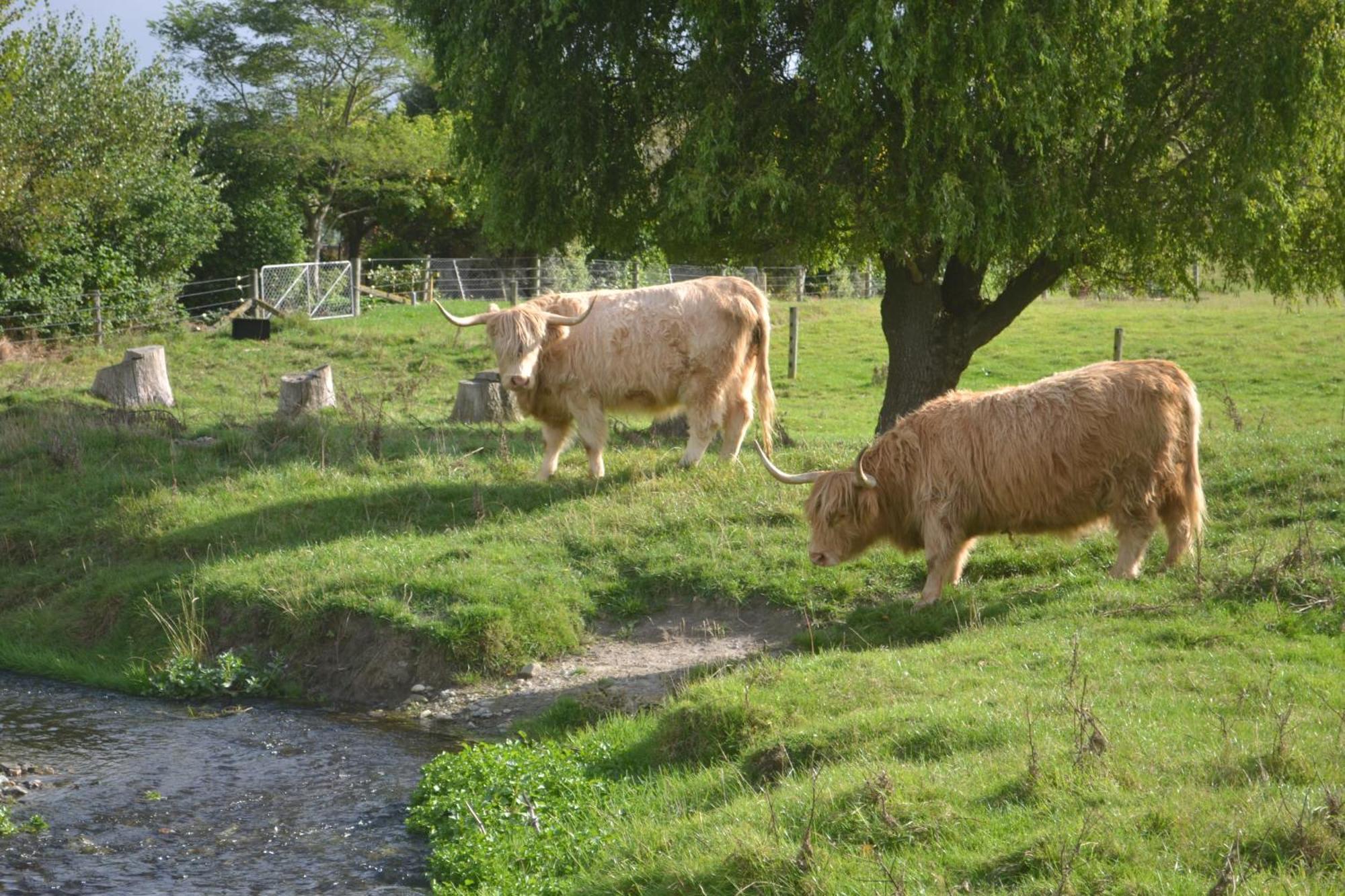 Highlands On Homestead Oamaru Bagian luar foto