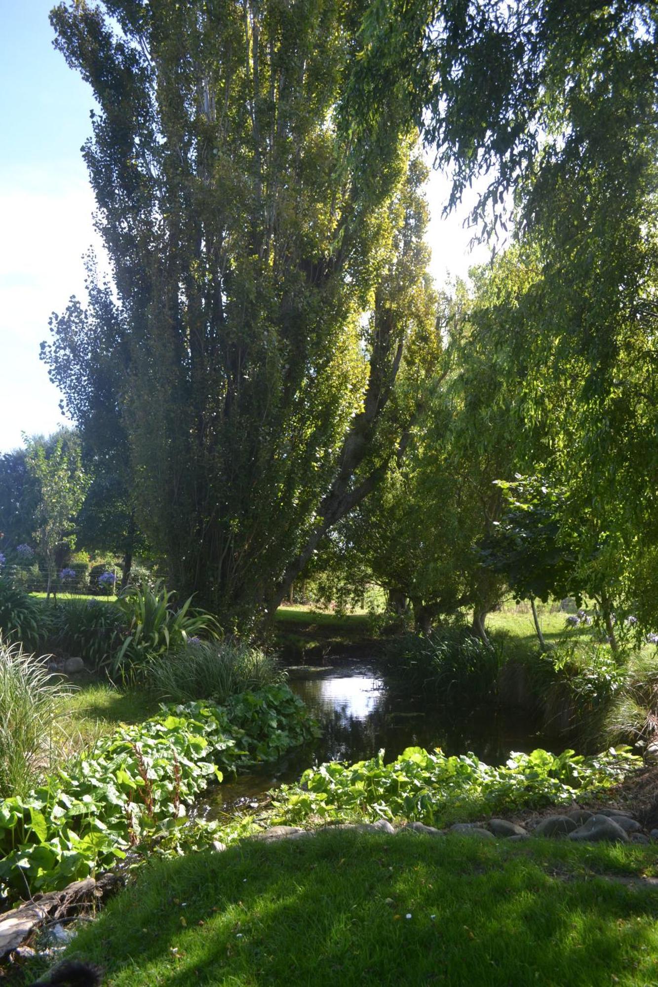 Highlands On Homestead Oamaru Bagian luar foto