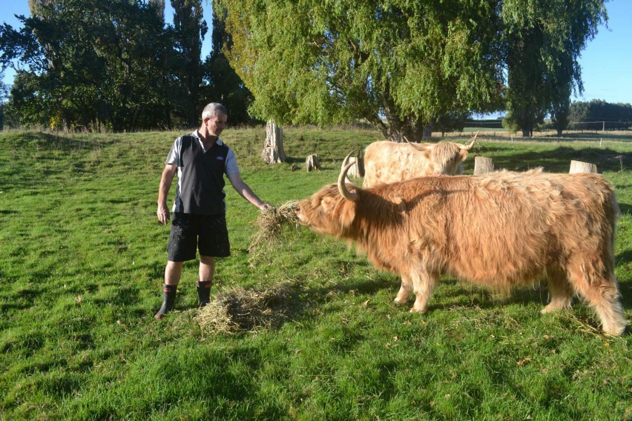 Highlands On Homestead Oamaru Bagian luar foto