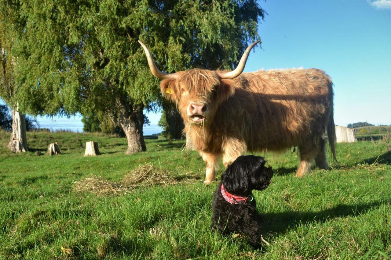 Highlands On Homestead Oamaru Bagian luar foto
